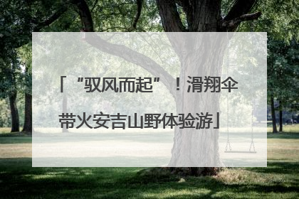 “驭风而起”！滑翔伞带火安吉山野体验游