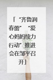 “齐鲁润春蕾”“爱心妈妈续力行动”推进会在邹平召开