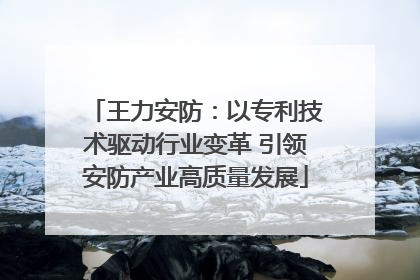 王力安防：以专利技术驱动行业变革 引领安防产业高质量发展