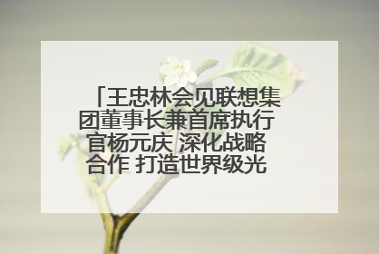 王忠林会见联想集团董事长兼首席执行官杨元庆 深化战略合作 打造世界级光电子信息产业集群