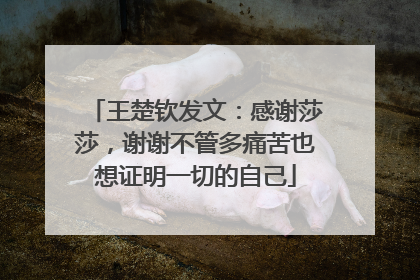 王楚钦发文：感谢莎莎，谢谢不管多痛苦也想证明一切的自己