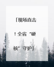 现场直击！全省“硬核”守护