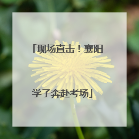 现场直击！襄阳学子奔赴考场