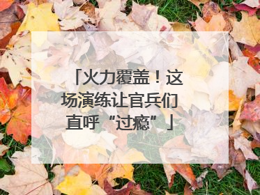 火力覆盖！这场演练让官兵们直呼“过瘾”