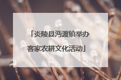 炎陵县沔渡镇举办客家农耕文化活动