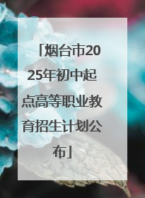 烟台市2025年初中起点高等职业教育招生计划公布