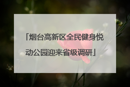 烟台高新区全民健身悦动公园迎来省级调研