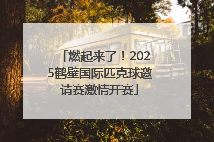 燃起来了！2025鹤壁国际匹克球邀请赛激情开赛