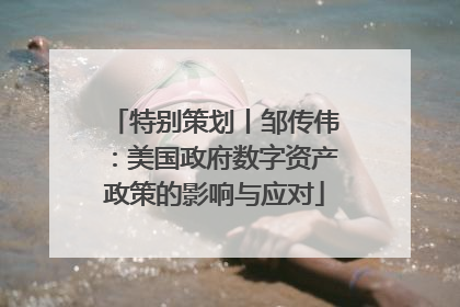 特别策划丨邹传伟：美国政府数字资产政策的影响与应对