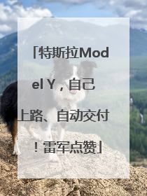 特斯拉Model Y，自己上路、自动交付！雷军点赞