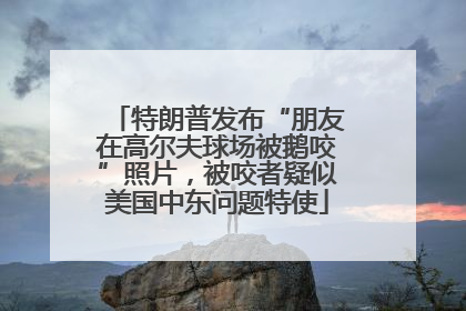 特朗普发布“朋友在高尔夫球场被鹅咬”照片，被咬者疑似美国中东问题特使