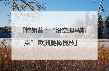 特朗普：“没空理马斯克” 欧洲抛橄榄枝