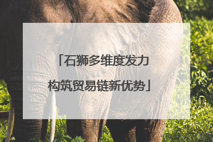 石狮多维度发力 构筑贸易链新优势