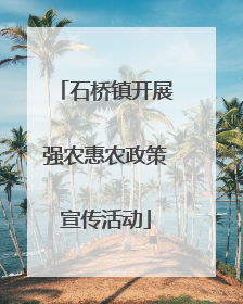 石桥镇开展强农惠农政策宣传活动