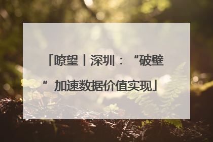 瞭望丨深圳：“破壁”加速数据价值实现