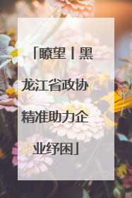 瞭望丨黑龙江省政协精准助力企业纾困