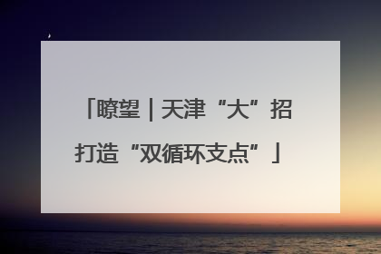 瞭望｜天津“大”招打造“双循环支点”