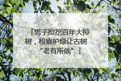 男子擅挖百年大樟树，检察护绿让古树“老有所依”