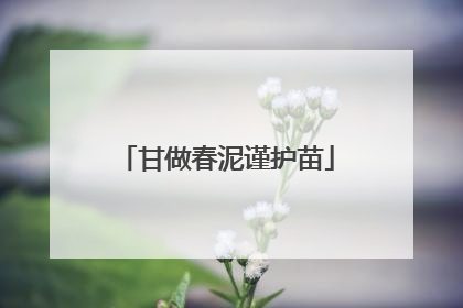 甘做春泥谨护苗