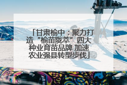 甘肃榆中：聚力打造“榆苗陇萃”四大种业育苗品牌 加速农业强县转型步伐