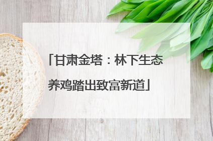 甘肃金塔：林下生态养鸡踏出致富新道