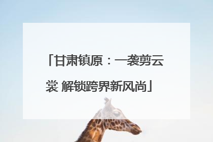 甘肃镇原：一袭剪云裳 解锁跨界新风尚