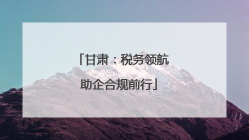 甘肃：税务领航 助企合规前行