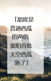 甜度是普通西瓜的两倍 襄阳首批太空西瓜熟了