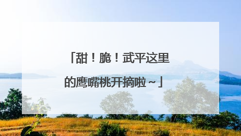 甜！脆！武平这里的鹰嘴桃开摘啦～