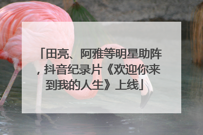田亮、阿雅等明星助阵，抖音纪录片《欢迎你来到我的人生》上线