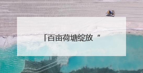 百亩荷塘绽放“美丽经济”“莲”通乡村振兴路