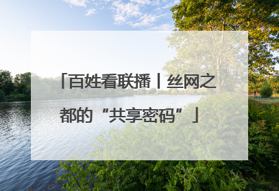 百姓看联播丨丝网之都的“共享密码”
