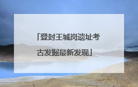 登封王城岗遗址考古发掘最新发现