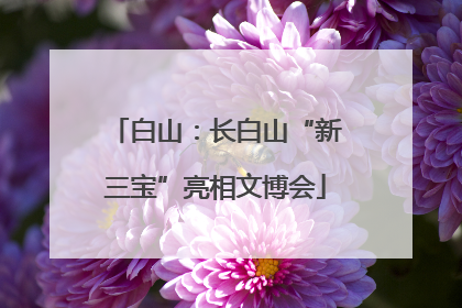 白山：长白山“新三宝”亮相文博会