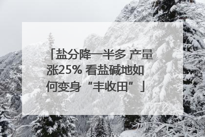盐分降一半多 产量涨25% 看盐碱地如何变身“丰收田”