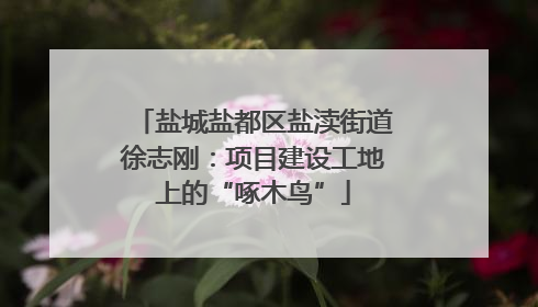 盐城盐都区盐渎街道徐志刚：项目建设工地上的“啄木鸟”
