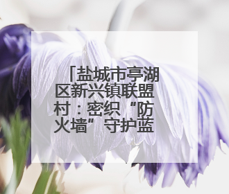 盐城市亭湖区新兴镇联盟村：密织“防火墙”守护蓝天净土