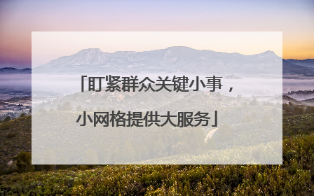 盯紧群众关键小事，小网格提供大服务