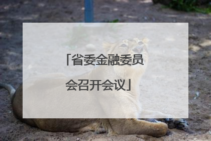 省委金融委员会召开会议