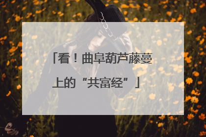 看！曲阜葫芦藤蔓上的“共富经”