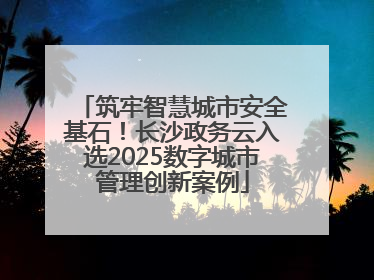 筑牢智慧城市安全基石！长沙政务云入选2025数字城市管理创新案例
