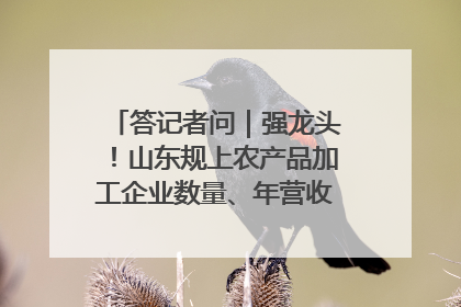 答记者问｜强龙头！山东规上农产品加工企业数量、年营收均居全国首位