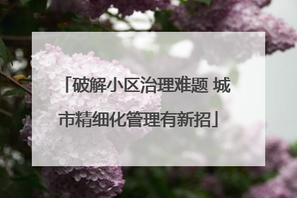 破解小区治理难题 城市精细化管理有新招