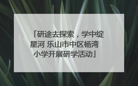 研途去探索，学中绽星河 乐山市中区杨湾小学开展研学活动