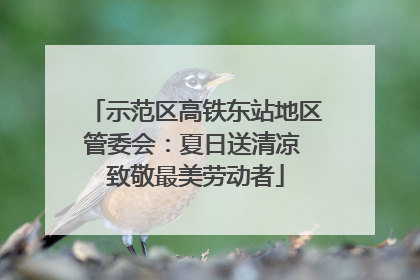 示范区高铁东站地区管委会：夏日送清凉 致敬最美劳动者