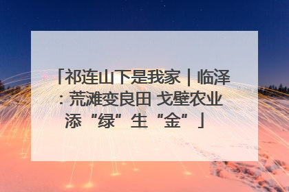 祁连山下是我家｜临泽：荒滩变良田 戈壁农业添“绿”生“金”