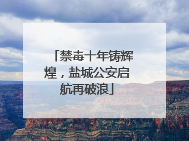 禁毒十年铸辉煌，盐城公安启航再破浪