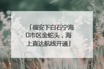 福安下白石宁海⇆市区金蛇头，海上直达航线开通