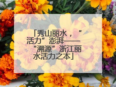 秀山丽水，“活力”澎湃——“溯源”浙江丽水活力之本