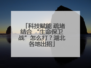 科技赋能 疏堵结合 “生命保卫战”怎么打？湖北各地出招